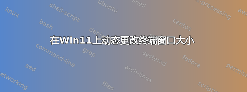 在Win11上动态更改终端窗口大小