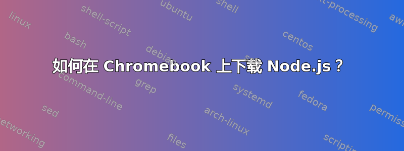 如何在 Chromebook 上下载 Node.js？