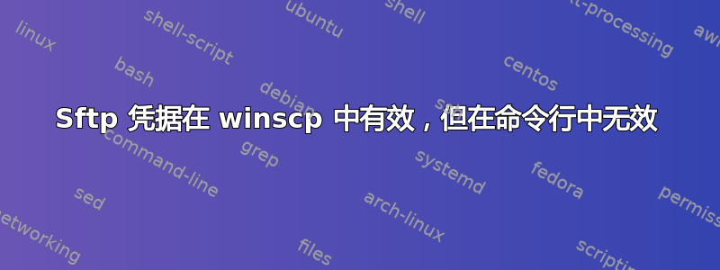 Sftp 凭据在 winscp 中有效，但在命令行中无效