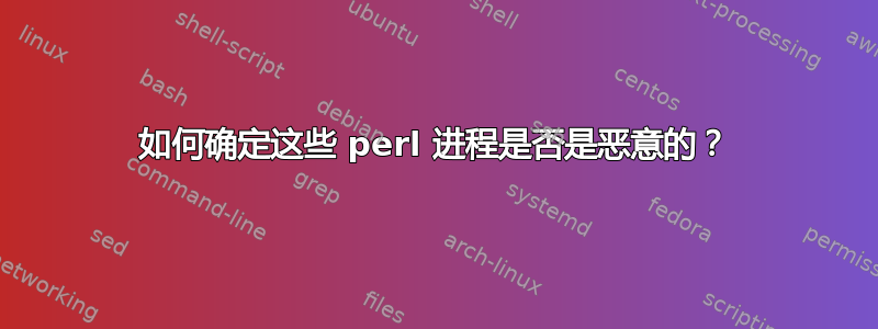 如何确定这些 perl 进程是否是恶意的？