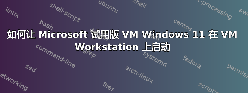 如何让 Microsoft 试用版 VM Windows 11 在 VM Workstation 上启动