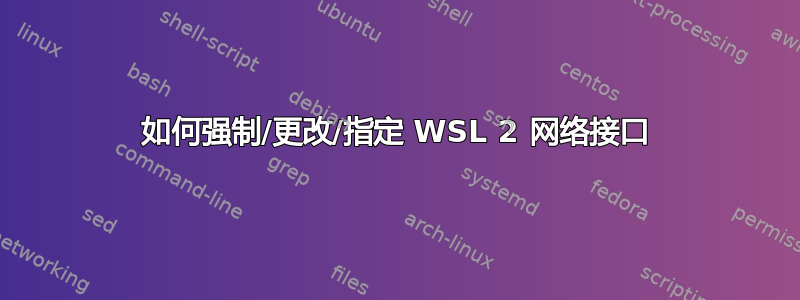 如何强制/更改/指定 WSL 2 网络接口