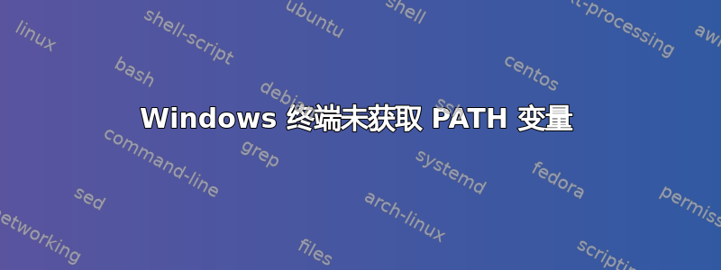 Windows 终端未获取 PATH 变量