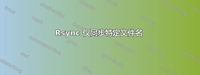 Rsync 仅同步特定文件名