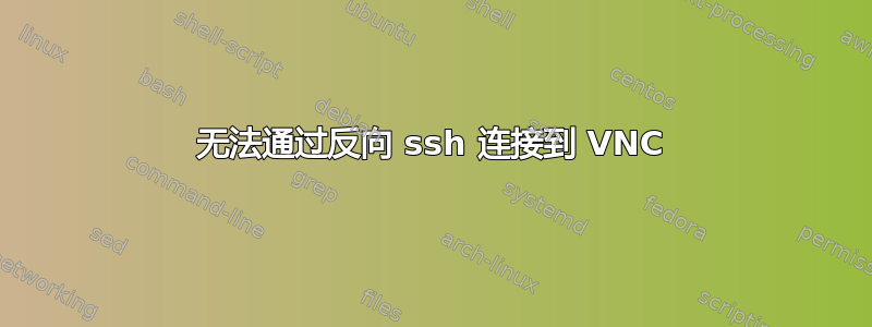 无法通过反向 ssh 连接到 VNC