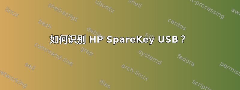 如何识别 HP SpareKey USB？