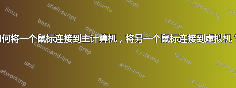 如何将一个鼠标连接到主计算机，将另一个鼠标连接到虚拟机？