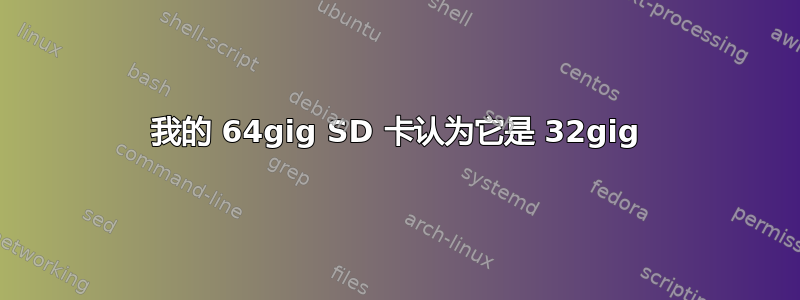 我的 64gig SD 卡认为它是 32gig