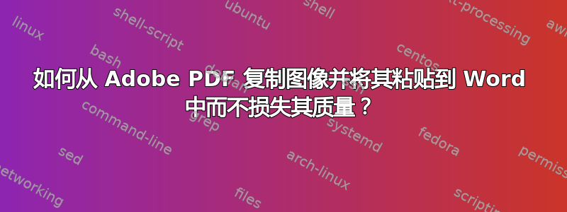 如何从 Adob​​e PDF 复制图像并将其粘贴到 Word 中而不损失其质量？