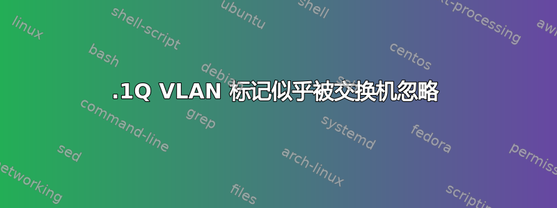 802.1Q VLAN 标记似乎被交换机忽略