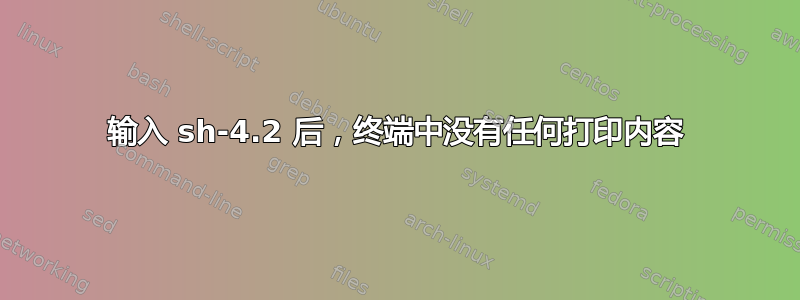 输入 sh-4.2 后，终端中没有任何打印内容