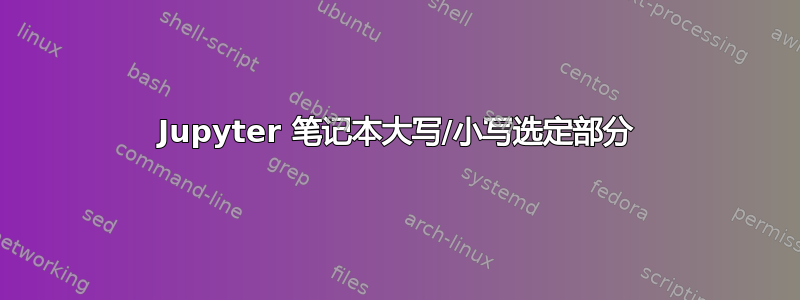 Jupyter 笔记本大写/小写选定部分