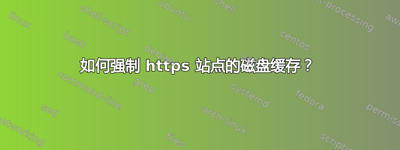 如何强制 https 站点的磁盘缓存？