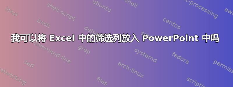 我可以将 Excel 中的筛选列放入 PowerPoint 中吗