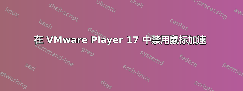 在 VMware Player 17 中禁用鼠标加速