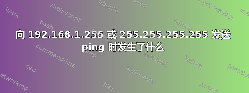 向 192.168.1.255 或 255.255.255.255 发送 ping 时发生了什么