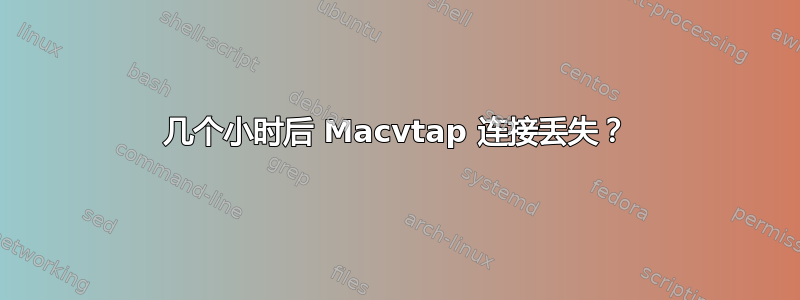 几个小时后 Macvtap 连接丢失？