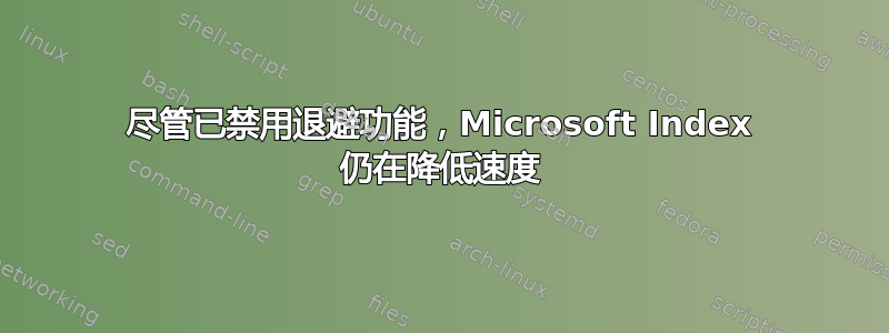 尽管已禁用退避功能，Microsoft Index 仍在降低速度