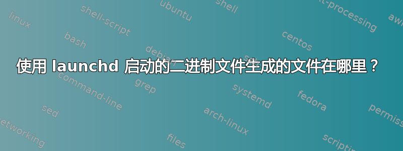 使用 launchd 启动的二进制文件生成的文件在哪里？