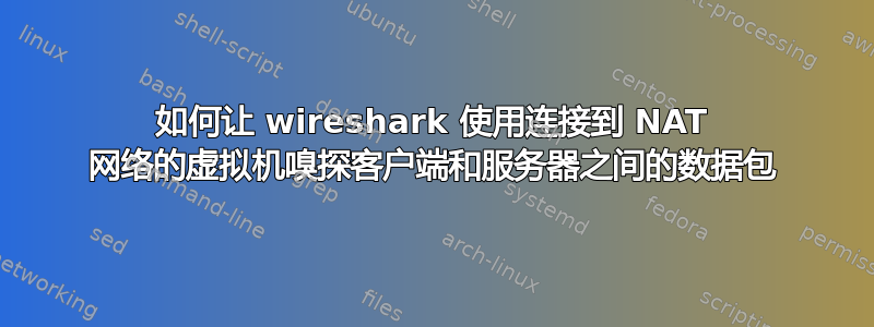 如何让 wireshark 使用连接到 NAT 网络的虚拟机嗅探客户端和服务器之间的数据包