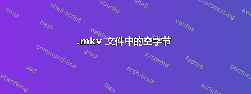 .mkv 文件中的空字节