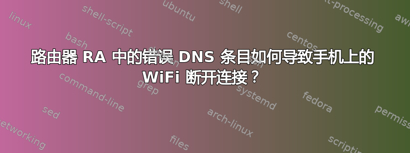 路由器 RA 中的错误 DNS 条目如何导致手机上的 WiFi 断开连接？