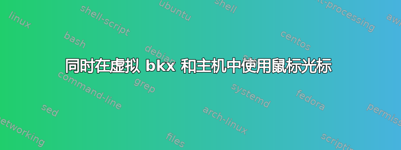 同时在虚拟 bkx 和主机中使用鼠标光标