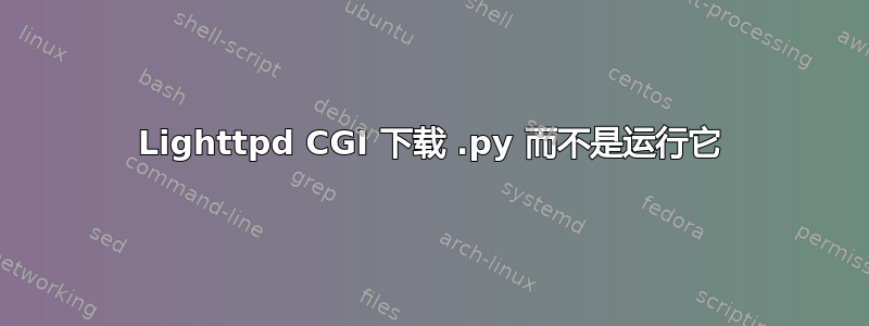 Lighttpd CGI 下载 .py 而不是运行它