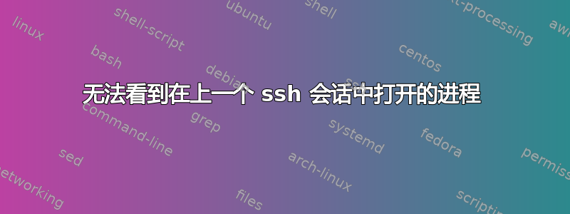 无法看到在上一个 ssh 会话中打开的进程