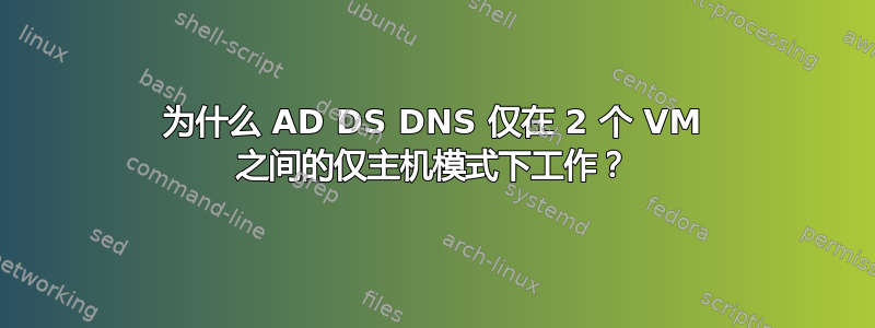 为什么 AD DS DNS 仅在 2 个 VM 之间的仅主机模式下工作？