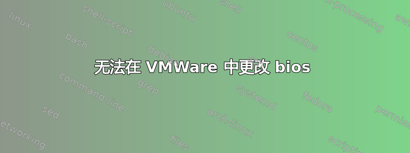 无法在 VMWare 中更改 bios