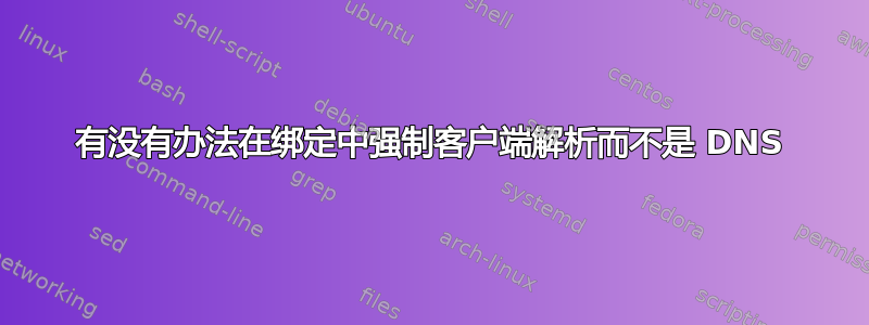 有没有办法在绑定中强制客户端解析而不是 DNS