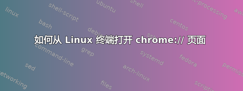 如何从 Linux 终端打开 chrome:// 页面