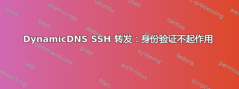 DynamicDNS SSH 转发：身份验证不起作用