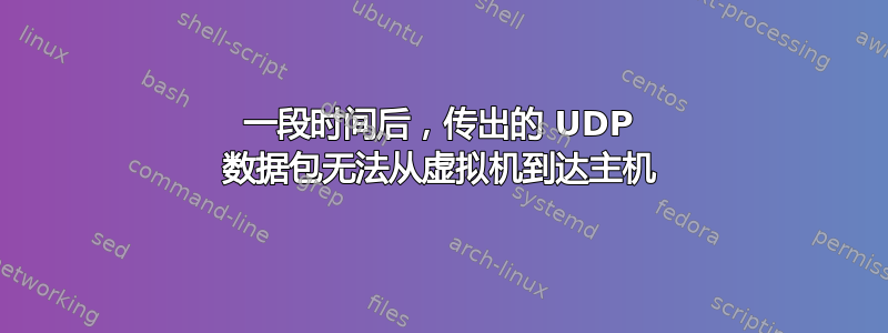 一段时间后，传出的 UDP 数据包无法从虚拟机到达主机