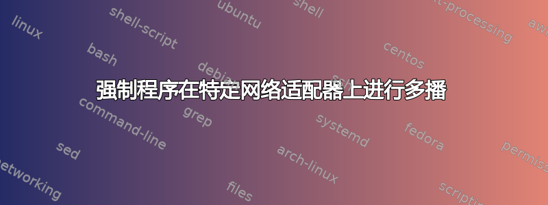 强制程序在特定网络适配器上进行多播