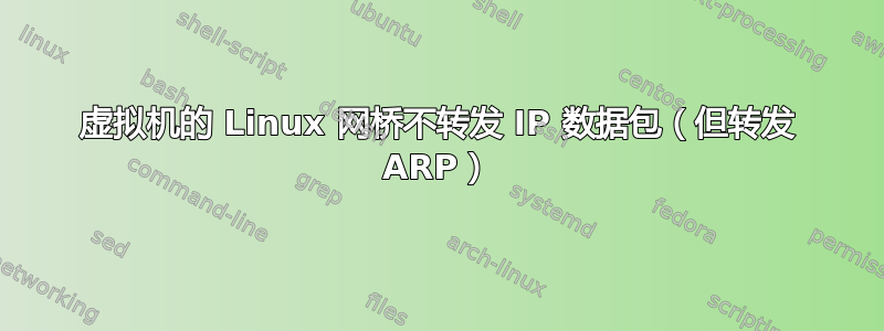 虚拟机的 Linux 网桥不转发 IP 数据包（但转发 ARP）