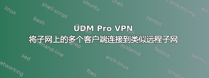 UDM Pro VPN 将子网上的多个客户端连接到类似远程子网