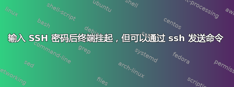 输入 SSH 密码后终端挂起，但可以通过 ssh 发送命令