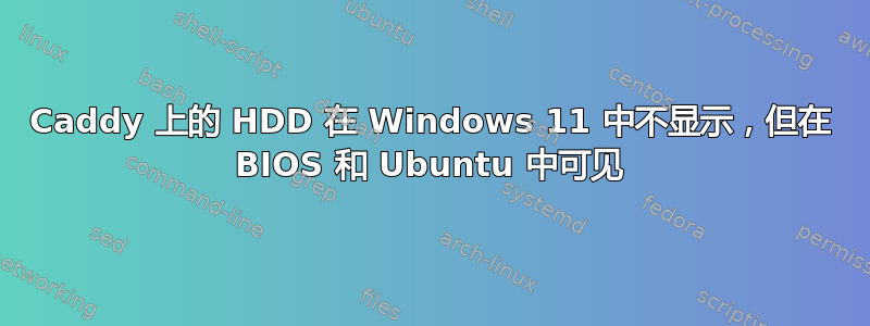 Caddy 上的 HDD 在 Windows 11 中不显示，但在 BIOS 和 Ubuntu 中可见