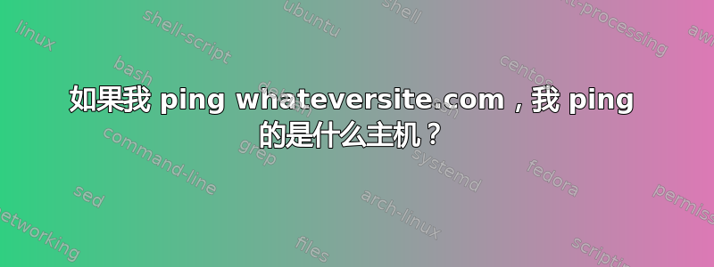 如果我 ping whateversite.com，我 ping 的是什么主机？