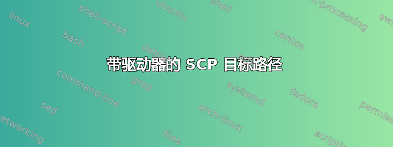 带驱动器的 SCP 目标路径