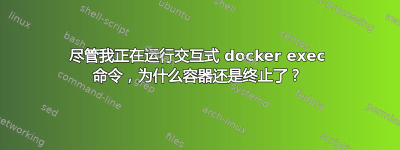 尽管我正在运行交互式 docker exec 命令，为什么容器还是终止了？