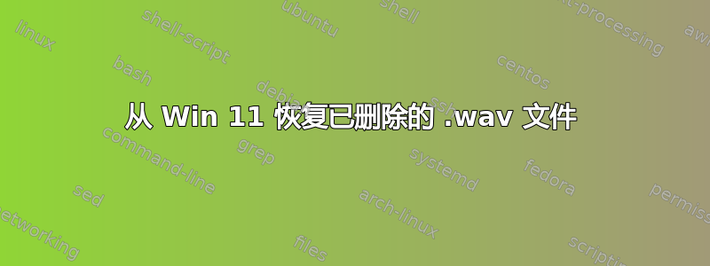 从 Win 11 恢复已删除的 .wav 文件