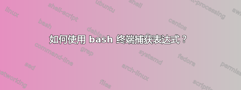 如何使用 bash 终端捕获表达式？