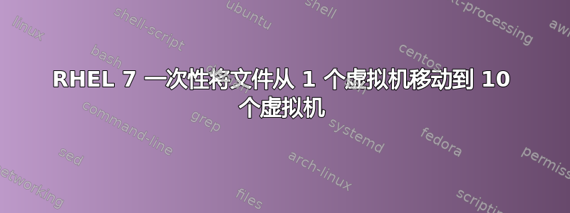 RHEL 7 一次性将文件从 1 个虚拟机移动到 10 个虚拟机