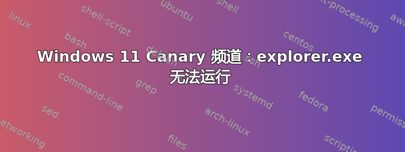 Windows 11 Canary 频道：explorer.exe 无法运行