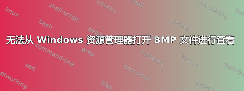 无法从 Windows 资源管理器打开 BMP 文件进行查看