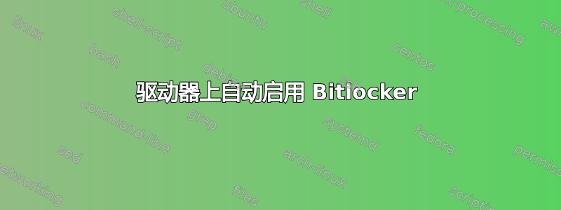 驱动器上自动启用 Bitlocker