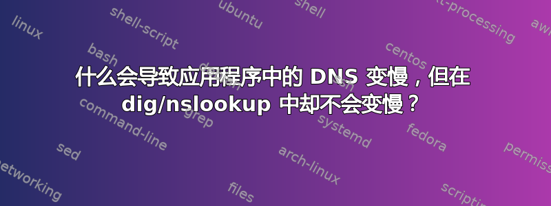 什么会导致应用程序中的 DNS 变慢，但在 dig/nslookup 中却不会变慢？